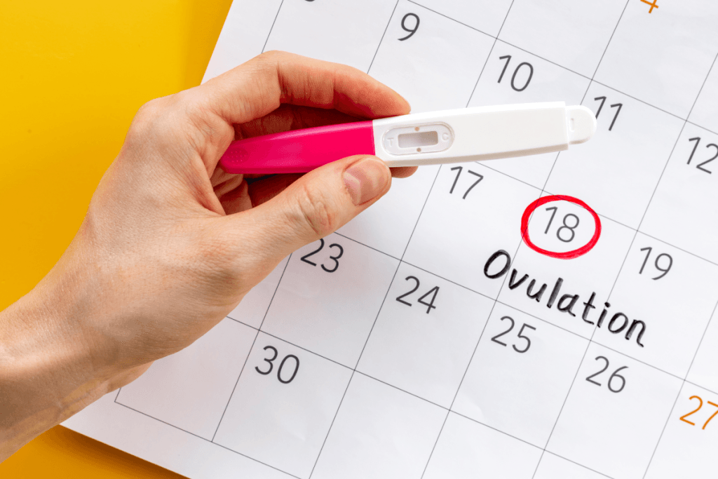 Ovulation Signs