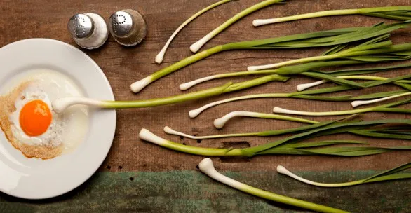 How to Increase Low Sperm Count in Men 2 Foods and vitamins to increase sperm count