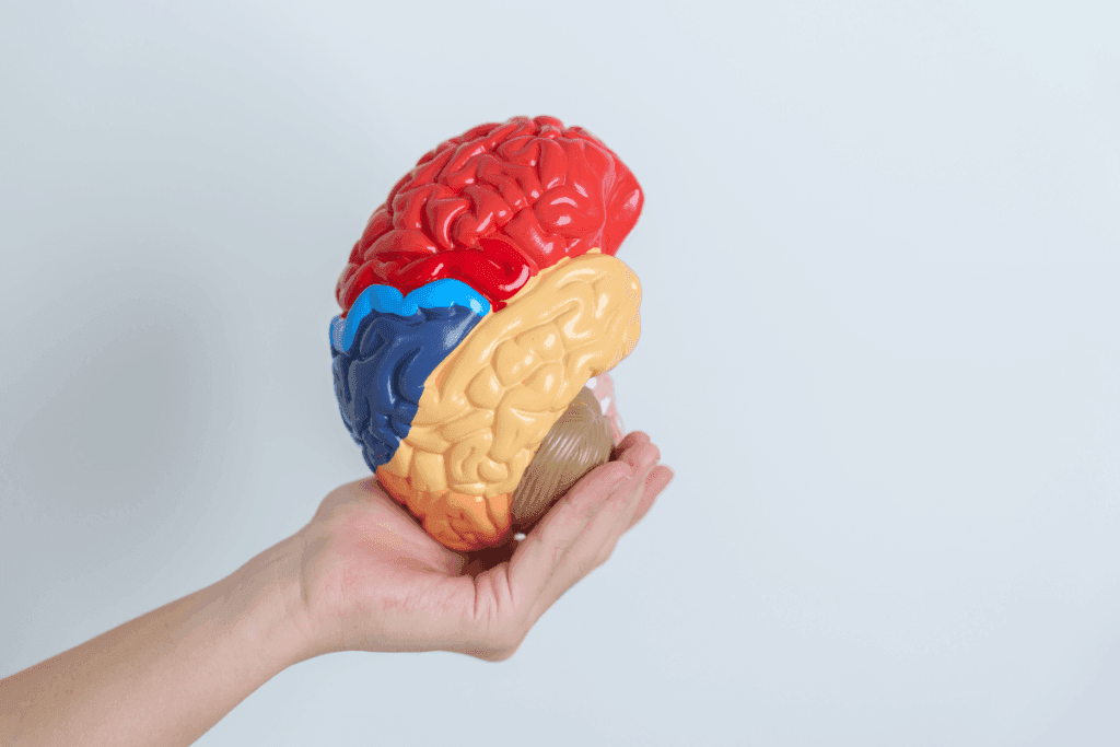 World Brain Tumor Day