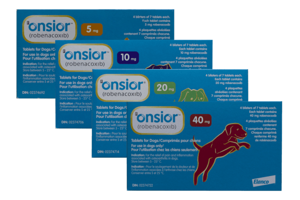Onsior Dog