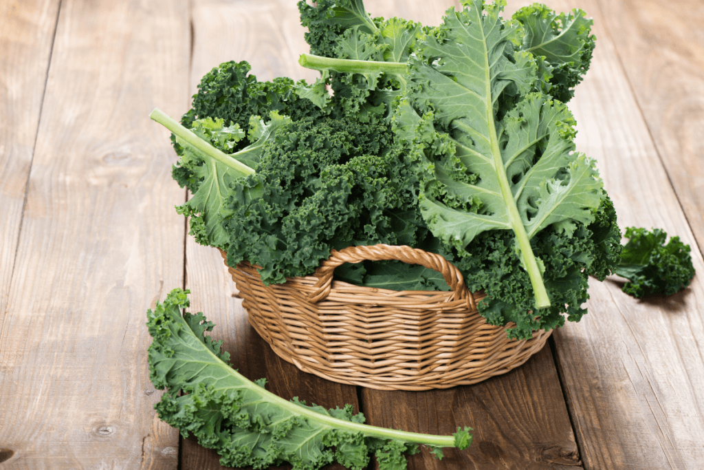 List of Foods to Avoid While Taking Warfarin